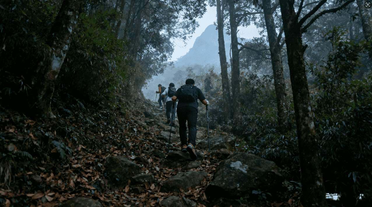 黑洞加速器是真是假？专家全面解析真相与传言内幕
